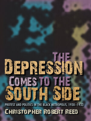 cover image of The Depression Comes to the South Side